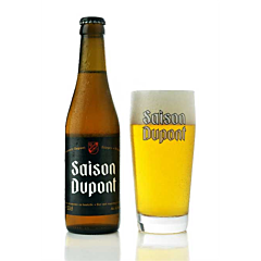 Saison Dupont 33 CL