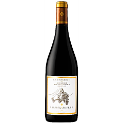 Calmel & Joseph La Fabrique Vieux Carignan