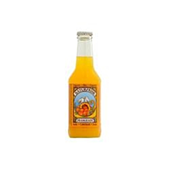 Bio Naturfrisk Orangeade 25 CL