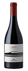 Torre Mora Cauru Etna Rosso 75 Cl.