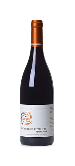 A63328B8-286C-4C36-8CA5-0111AE8704C2