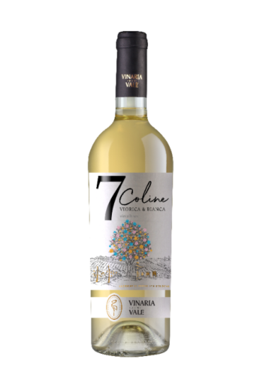 FF7439A4-33DA-409E-8AAD-1EF765E01CF8